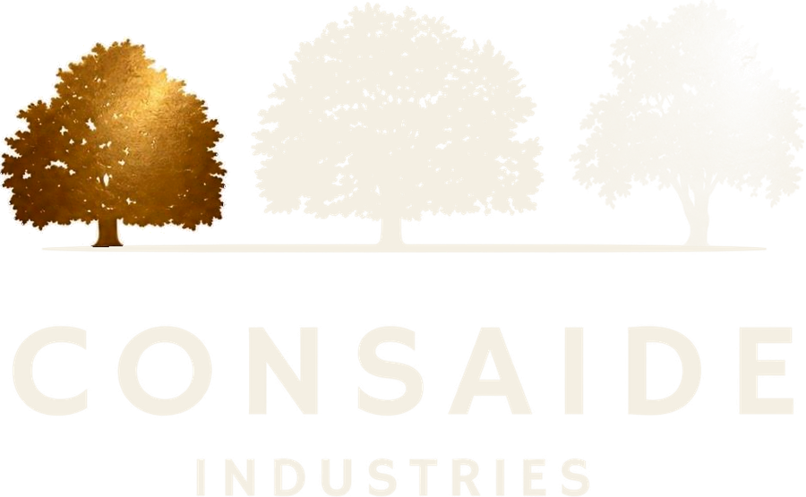 Consaide